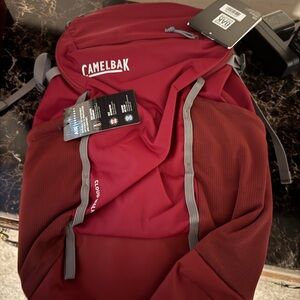 CamelBak Burgundy and Gray Men's Backpack